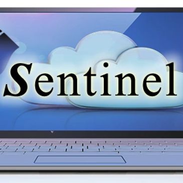 Sentinel Logo on laptop